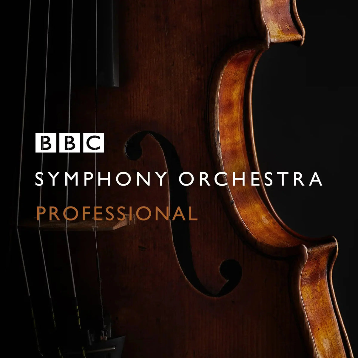 Spitfire Audio BBC Symphony Orchestra Professional (Digital Download) Spitfire Audio
