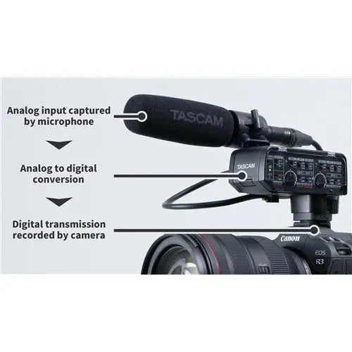 TASCAM XLR Mic Adapter for general DSLR Cameras Analog Signal TASCAM