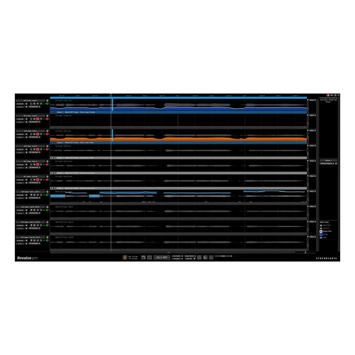 Synchro Arts Revoice Pro 5 (Serial Nr + Download)