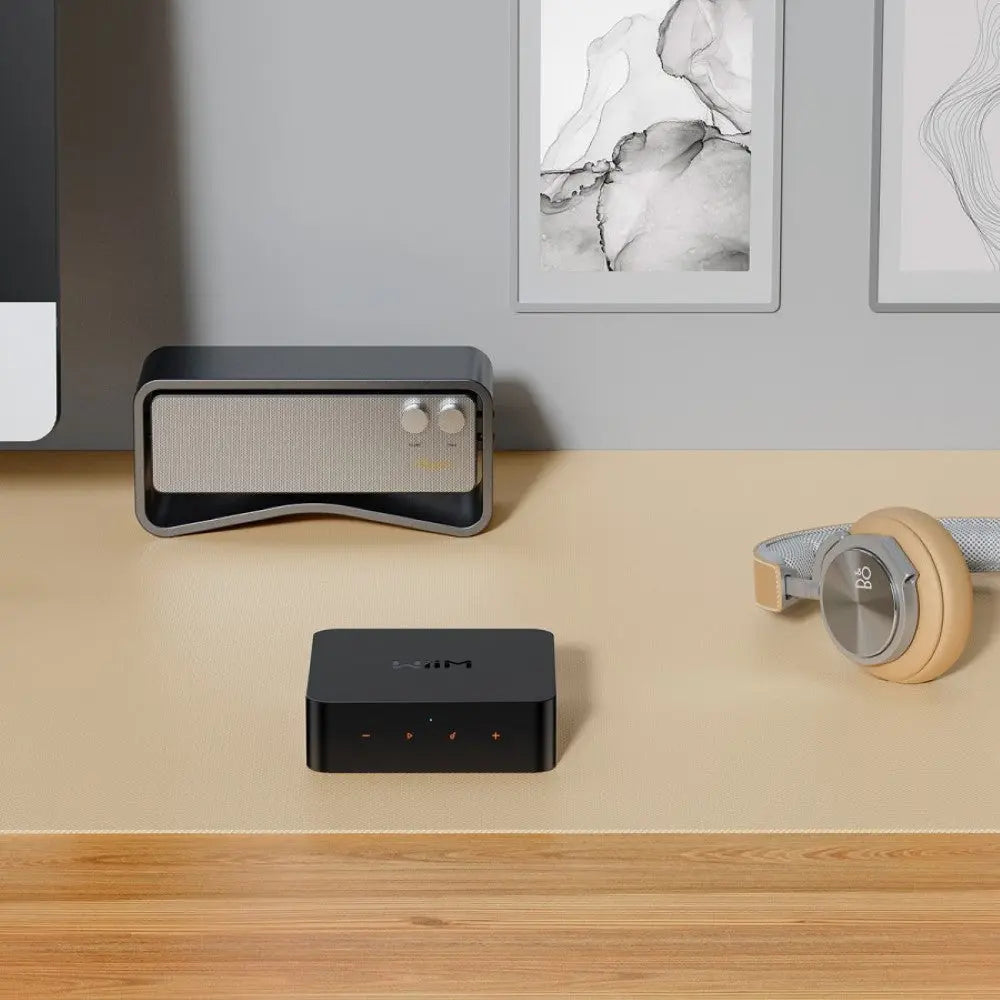 WiiM Pro Wireless Audio Streamer AirPlay 2 & Chromecast WiiM
