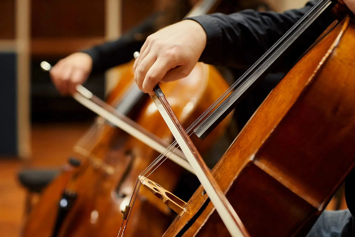 Spitfire Chamber Strings Professional (Digital Download) Spitfire Audio