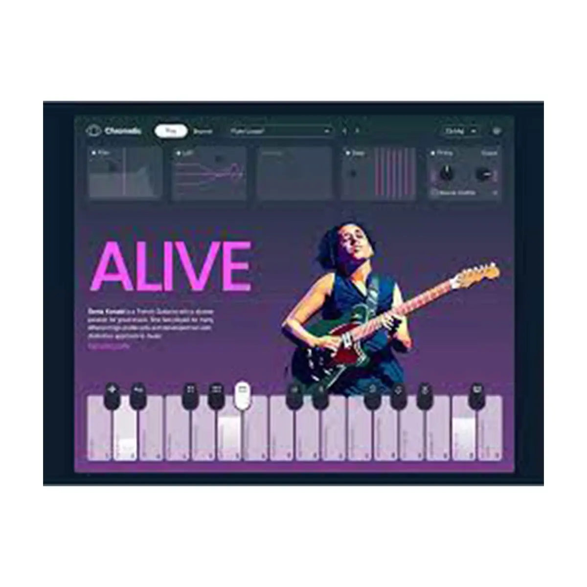 LANDR Chromatic (Serial Nr + Download) Landr