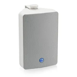 AtlasIED 5.25" 2-Way All Weather Speaker with 30-Watt 70V/100V Transformer (White)