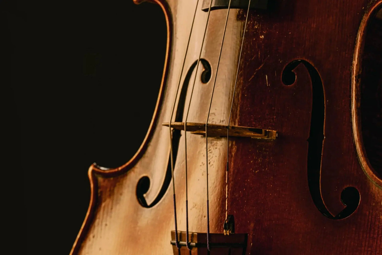 Spitfire Audio Abbey Road Orchestra: Violas Professional (Digital Download) Spitfire Audio