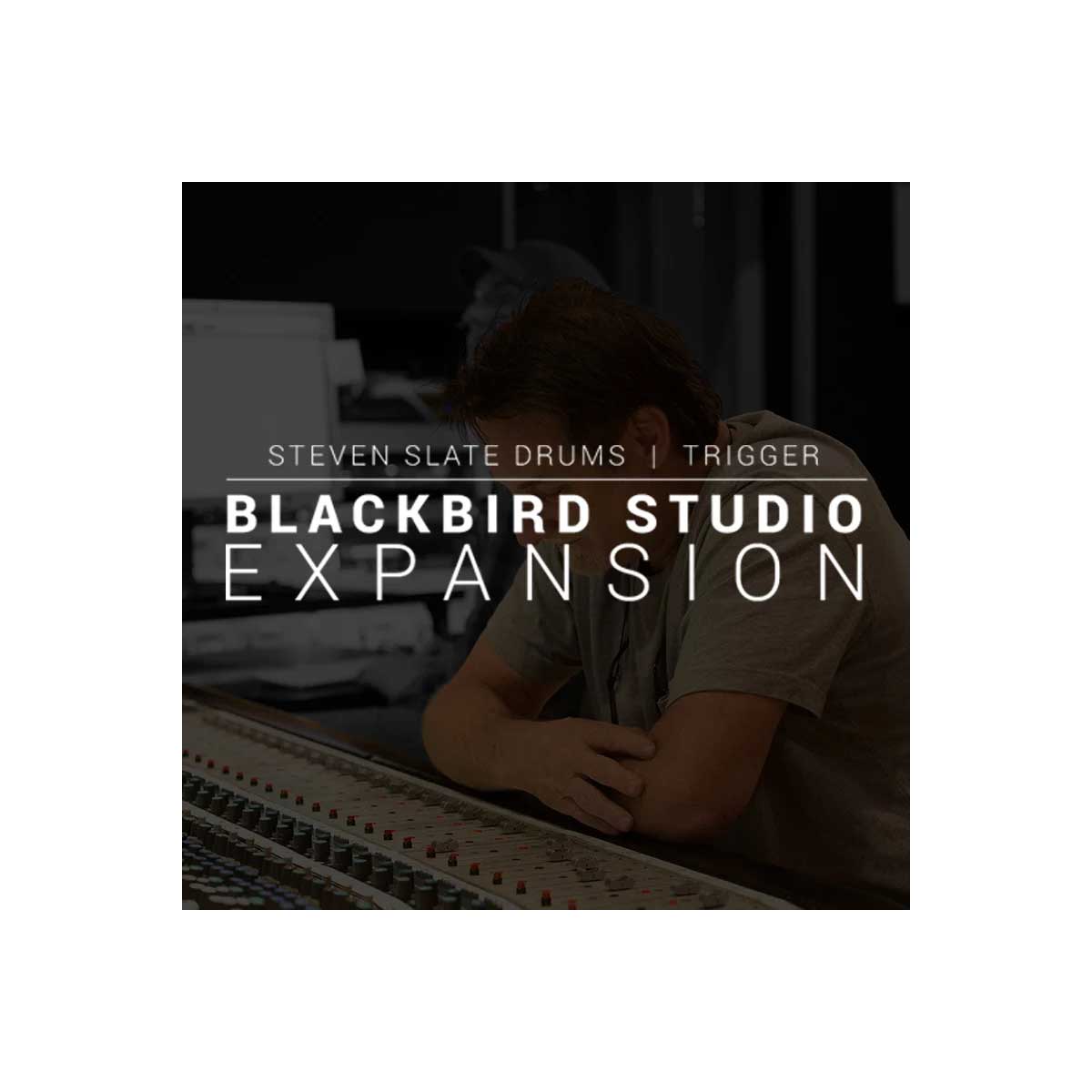 Steven Slate Drums Blackbird expansion (Serial Nr + Download)