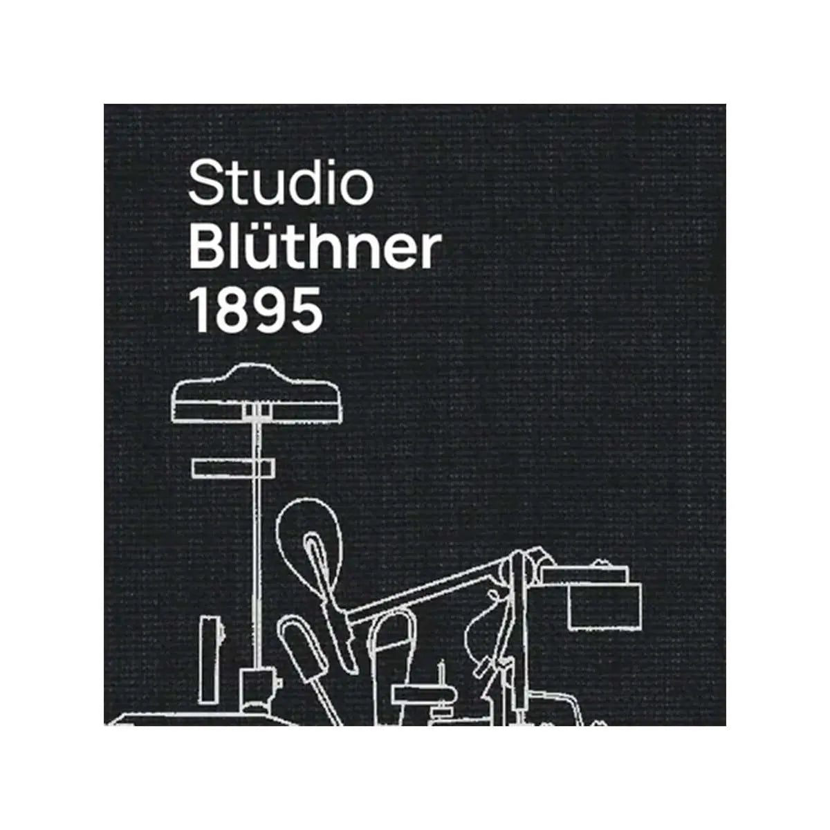 VSL Studio Blüthner 1895 (Standard Library) Vienna Symphonic Library