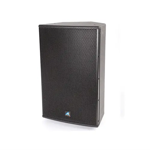 Australian Monitor XDS10 10 inch Passive Speaker 250W, Black - Koala Audio