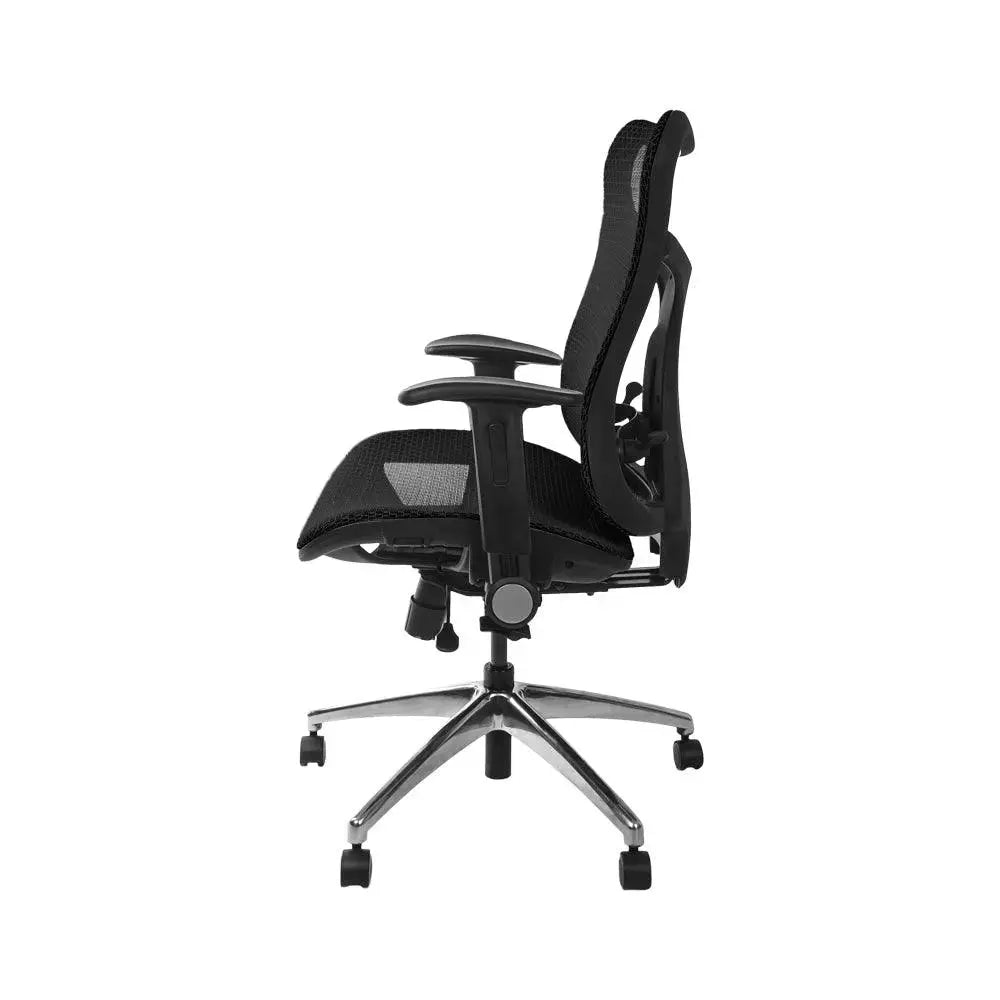 Wavebone Viking Premium Multifunctional Studio Chair
