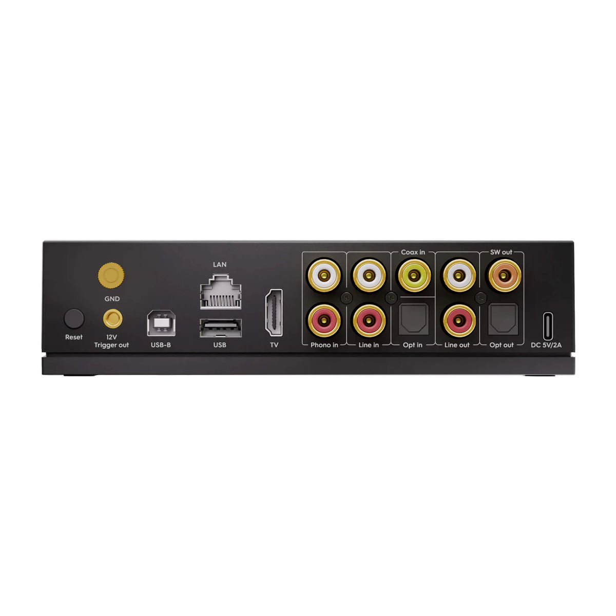 Arylic LP100 HiFi Music Streamer
