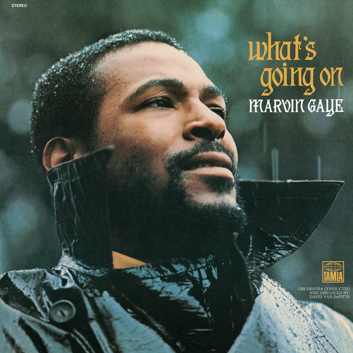 Marvin Gaye What&#39;s Going On - Vinyl Album