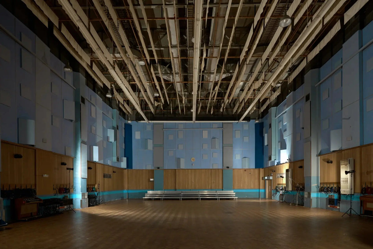 Spitfire Audio Abbey Road Orchestra: Low Percussion Professional (Digital Download) Spitfire Audio