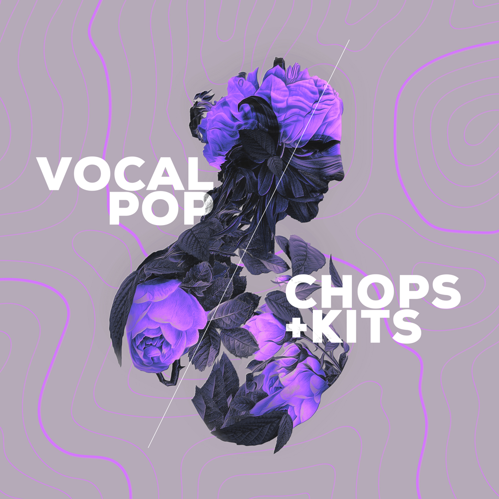 Audiomodern Vocal Pop Expansion for Loopmix — Audiomodern