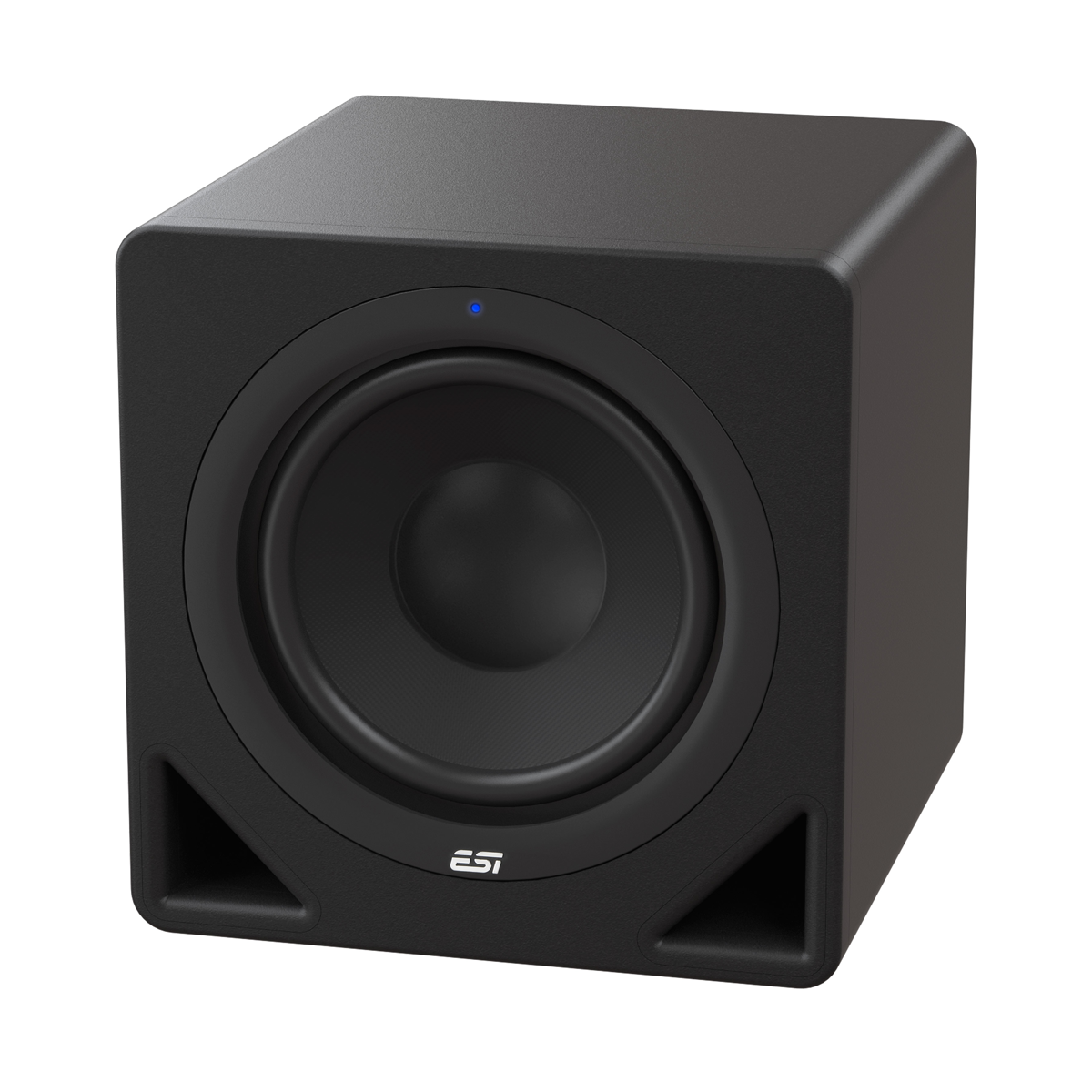 ESI aktiv 10s Powered 10&quot; Subwoofer (single)