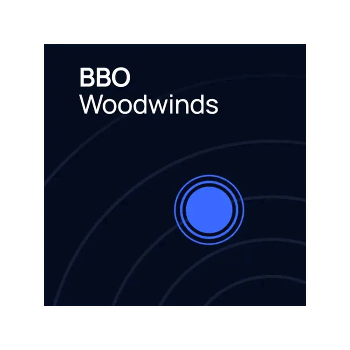 VSL Big Bang Orchestra Woodwinds Vienna Symphonic Library