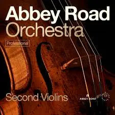 Spitfire Audio Abbey Road Orchestra: 2nd Violins Professional Spitfire Audio