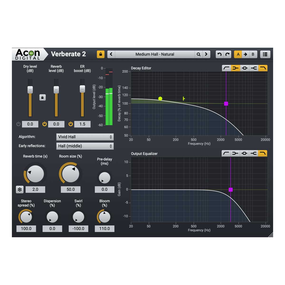 Acon Verberate 2 Algorithmic Reverb Plug-In (Serial Nr + Download)