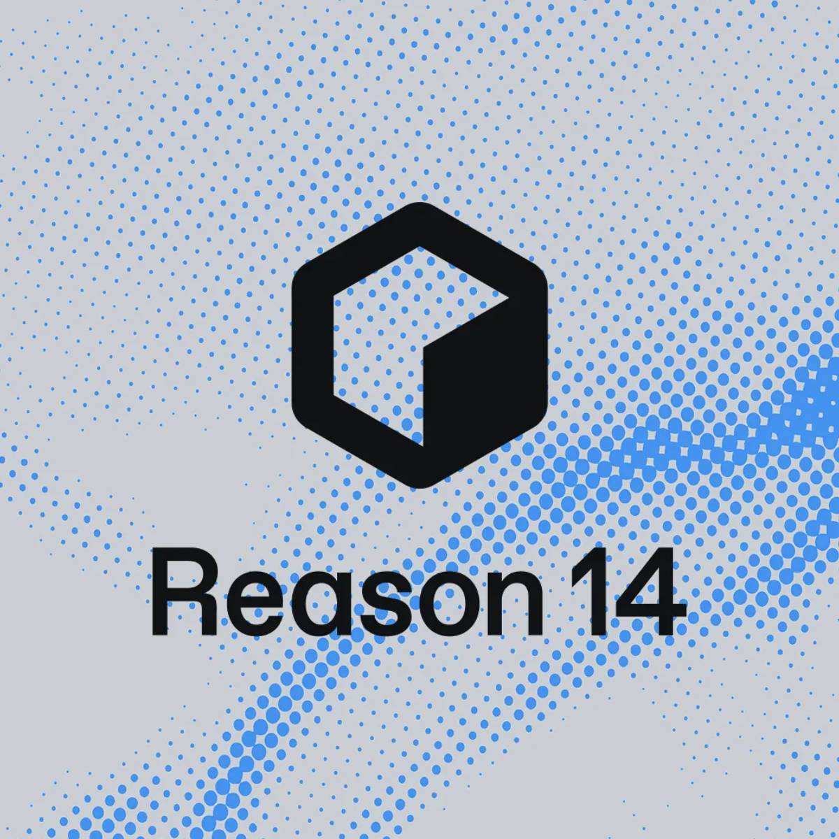 Reason 14 (Digital Download)