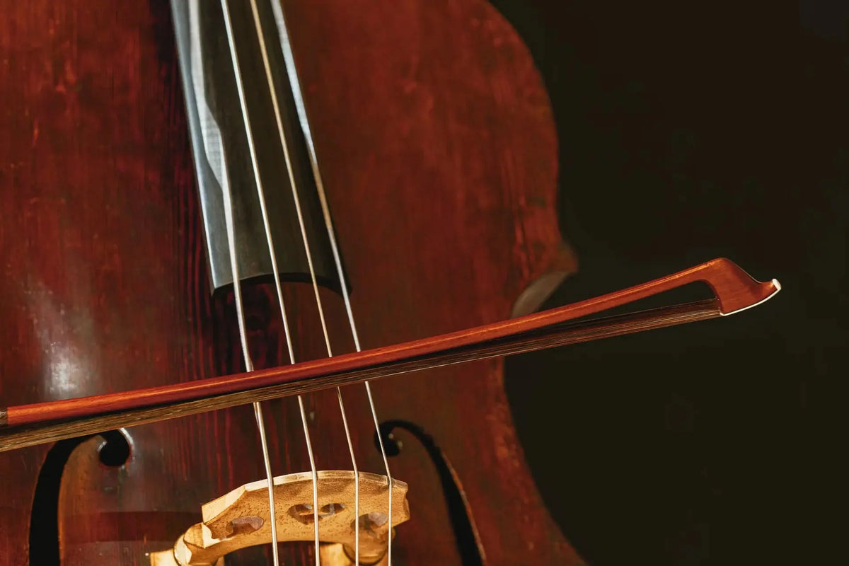 Spitfire Audio Abbey Road Orchestra: Basses Professional (Digital Download) Spitfire Audio