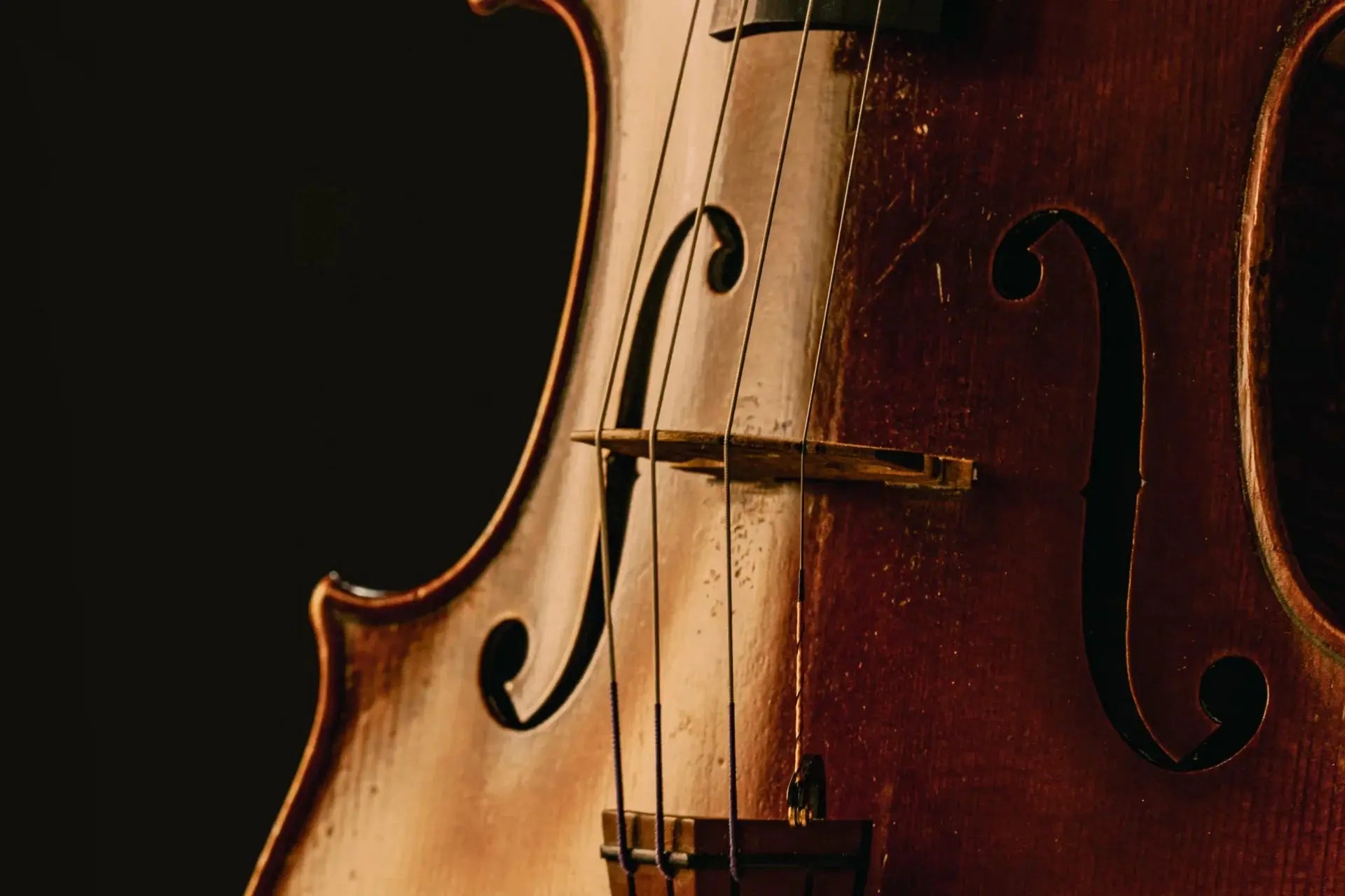 Spitfire Audio Abbey Road Orchestra: Violas Professional (Digital Download) Spitfire Audio