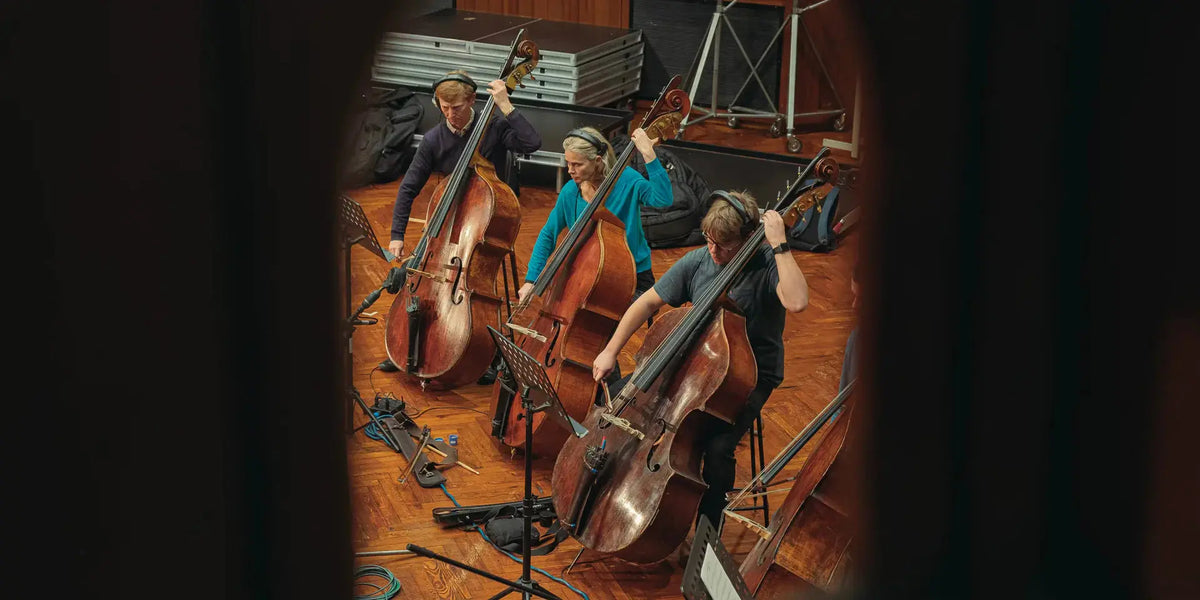 Spitfire Audio The Albions Orchestral Selects (Digital Download) Spitfire Audio