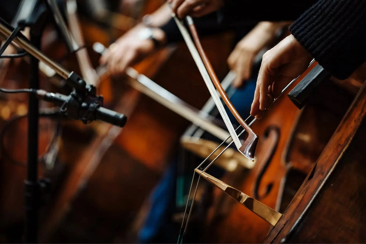 Spitfire Appassionata Strings (Digital Download) Spitfire Audio