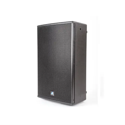 Australian Monitor12 inch Passive Speaker 300W, Black - Koala Audio